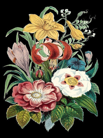 Garden Gathering VI Black Ornate Wood Framed Art Print with Double Matting by Unknown