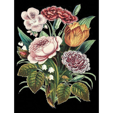 Garden Gathering VIII Black Modern Wood Framed Art Print with Double Matting by Unknown