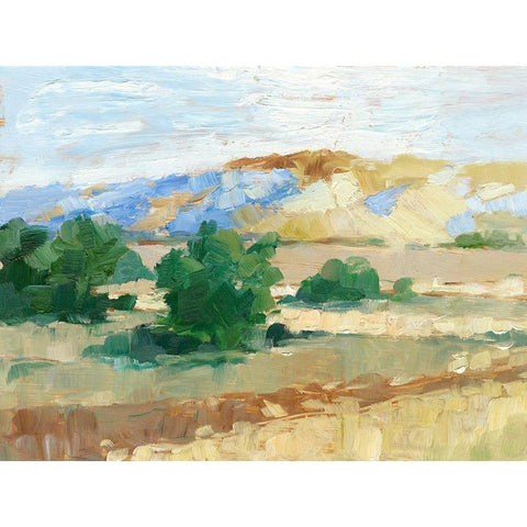 Sunny Field I Black Modern Wood Framed Art Print with Double Matting by Harper, Ethan