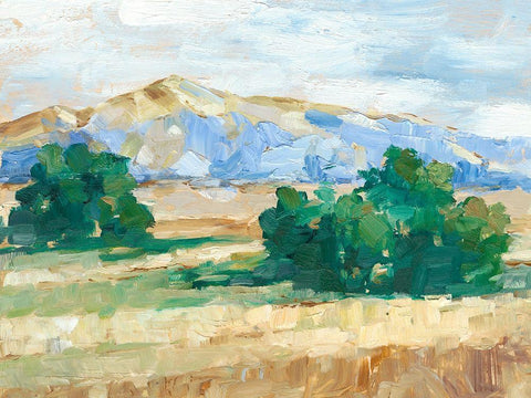 Sunny Field II White Modern Wood Framed Art Print with Double Matting by Harper, Ethan