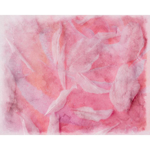 Coral Essence I White Modern Wood Framed Art Print by Bane, Eva