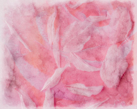 Coral Essence I White Modern Wood Framed Art Print with Double Matting by Bane, Eva