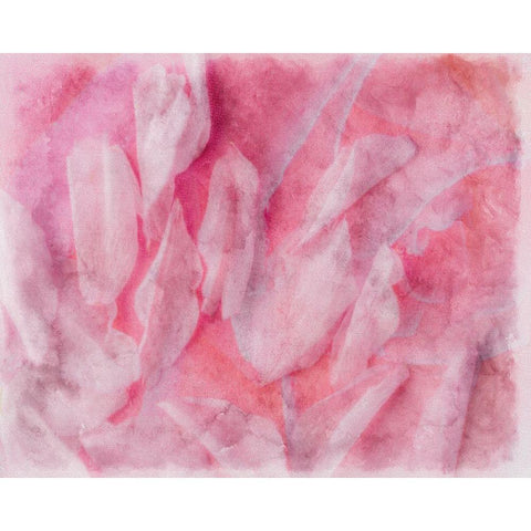 Coral Essence II Black Modern Wood Framed Art Print with Double Matting by Bane, Eva