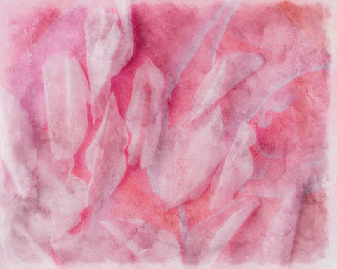 Coral Essence II White Modern Wood Framed Art Print with Double Matting by Bane, Eva