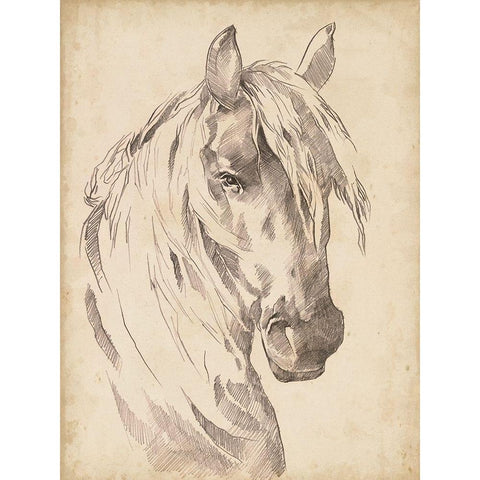 Horse Portrait Sketch I Gold Ornate Wood Framed Art Print with Double Matting by Parker, Jennifer Paxton