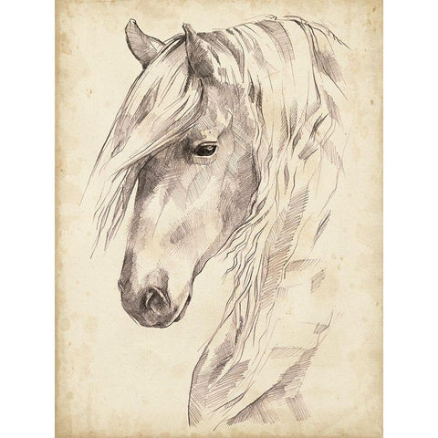 Horse Portrait Sketch II White Modern Wood Framed Art Print by Parker, Jennifer Paxton