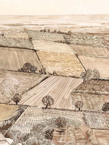 Arable Land II White Modern Wood Framed Art Print with Double Matting by Popp, Grace