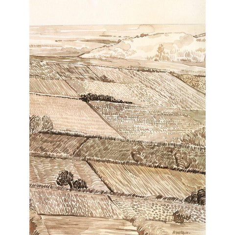 Arable Land III Gold Ornate Wood Framed Art Print with Double Matting by Popp, Grace