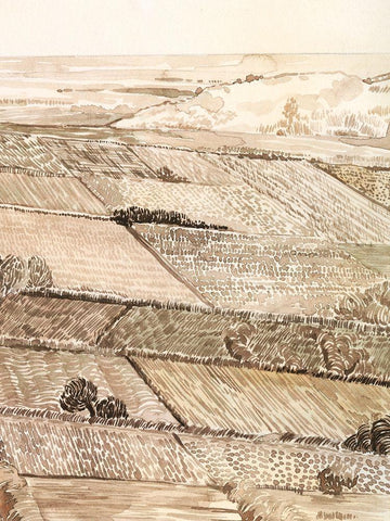 Arable Land III White Modern Wood Framed Art Print with Double Matting by Popp, Grace