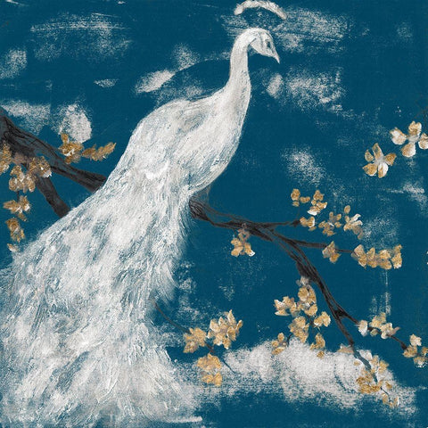 White Peacock on Indigo I Black Modern Wood Framed Art Print with Double Matting by Goldberger, Jennifer