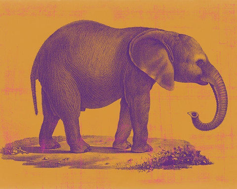 Safari Pop I Black Ornate Wood Framed Art Print with Double Matting by Studio W