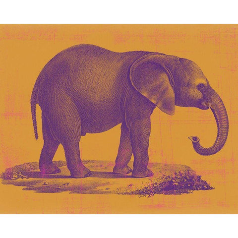 Safari Pop I Black Modern Wood Framed Art Print by Studio W