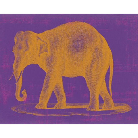 Safari Pop II Black Modern Wood Framed Art Print by Studio W
