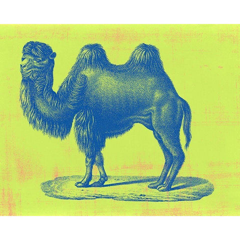 Safari Pop IV White Modern Wood Framed Art Print by Studio W