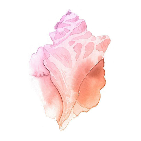 Sunset Conch I White Modern Wood Framed Art Print by Green, Jacob