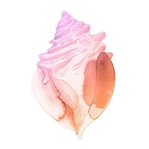Sunset Conch II White Modern Wood Framed Art Print by Green, Jacob