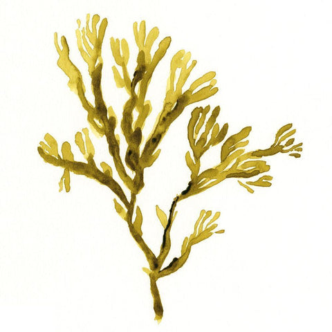 Suspended Seaweed I Black Modern Wood Framed Art Print with Double Matting by Green, Jacob