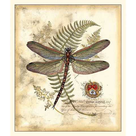 Regal Dragonfly I White Modern Wood Framed Art Print by Vision Studio