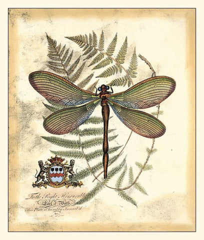 Regal Dragonfly II Black Ornate Wood Framed Art Print with Double Matting by Vision Studio