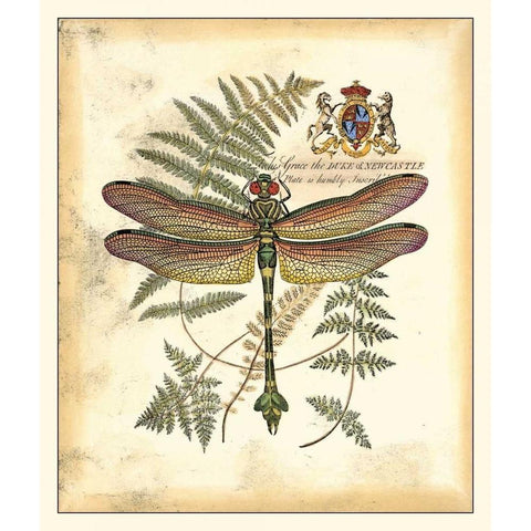 Regal Dragonfly III Gold Ornate Wood Framed Art Print with Double Matting by Vision Studio