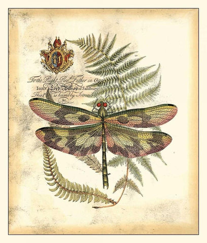 Regal Dragonfly IV Black Ornate Wood Framed Art Print with Double Matting by Vision Studio