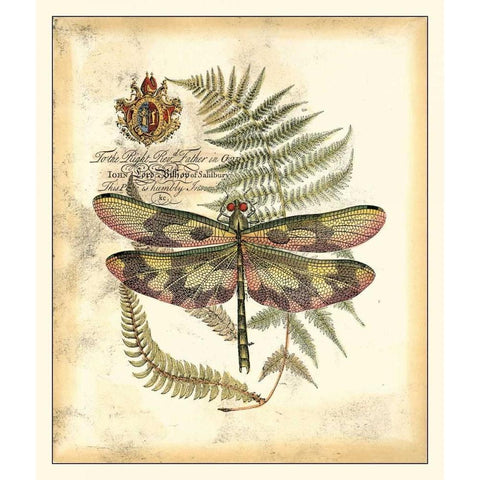 Regal Dragonfly IV Gold Ornate Wood Framed Art Print with Double Matting by Vision Studio