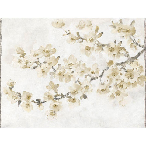 Neutral Cherry Blossom Composition I Black Modern Wood Framed Art Print with Double Matting by OToole, Tim