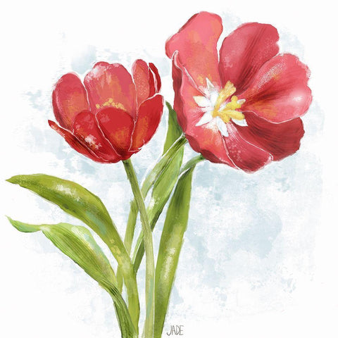 Red Tulip Splash I Black Modern Wood Framed Art Print with Double Matting by Reynolds, Jade