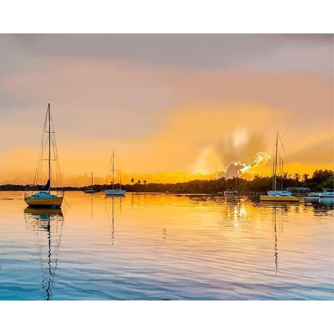 In the Golden Light IV Black Modern Wood Framed Art Print with Double Matting by Kalina, Emily