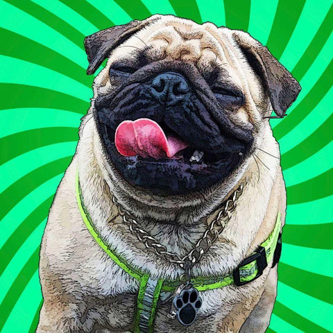 Pop Dog X White Modern Wood Framed Art Print by Curinga, Kim