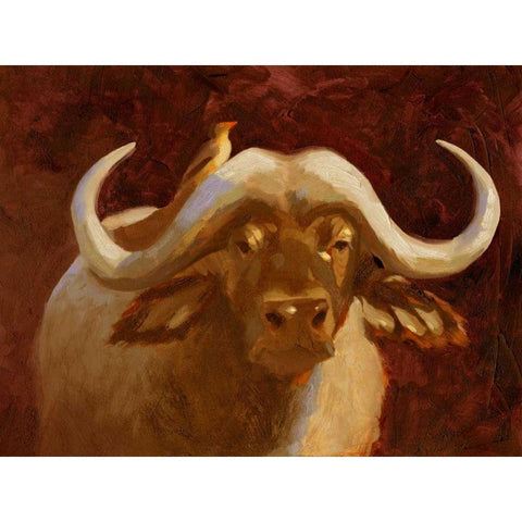 Cape Buffalo I Black Modern Wood Framed Art Print with Double Matting by Green, Jacob