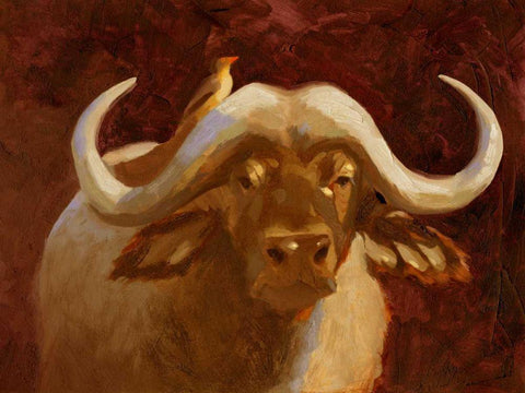 Cape Buffalo I White Modern Wood Framed Art Print with Double Matting by Green, Jacob