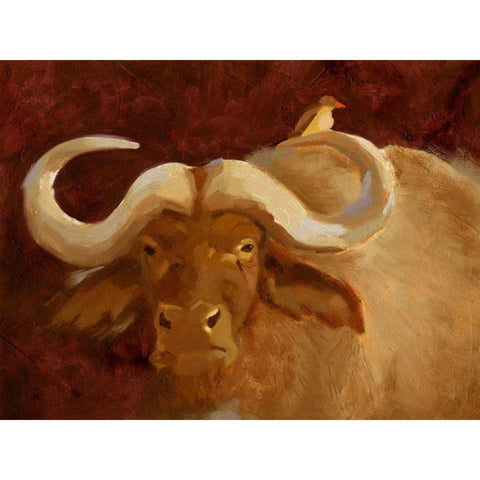 Cape Buffalo II Black Modern Wood Framed Art Print with Double Matting by Green, Jacob