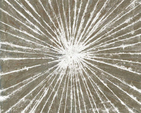 White Burst III Black Ornate Wood Framed Art Print with Double Matting by Studio W