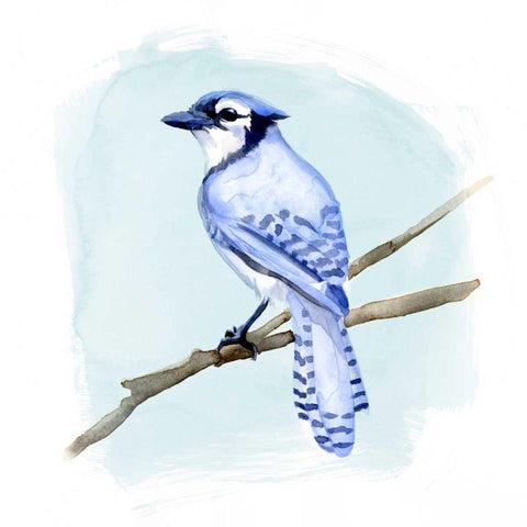 Coastal Blue Jay II Gold Ornate Wood Framed Art Print with Double Matting by Green, Jacob