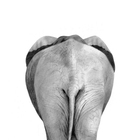 Back Up Plan II White Modern Wood Framed Art Print by Borges, Victoria