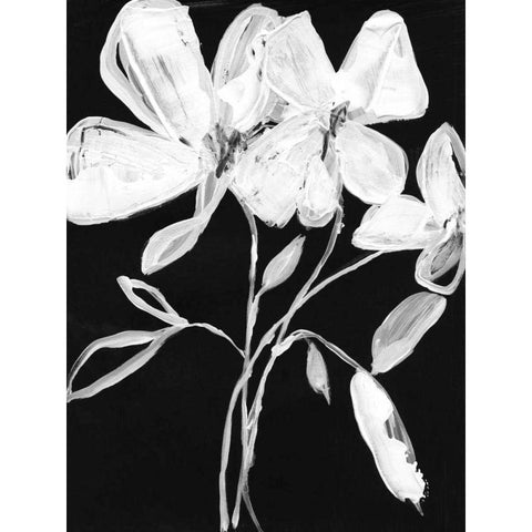 White Whimsical Flowers I Black Modern Wood Framed Art Print with Double Matting by Goldberger, Jennifer