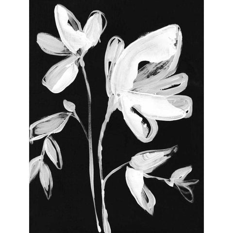 White Whimsical Flowers II Black Modern Wood Framed Art Print by Goldberger, Jennifer
