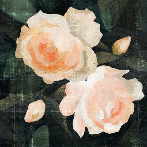 Soft Garden Roses I White Modern Wood Framed Art Print with Double Matting by Caroline, Emma