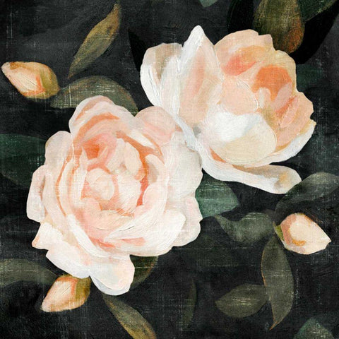 Soft Garden Roses II Black Modern Wood Framed Art Print by Caroline, Emma