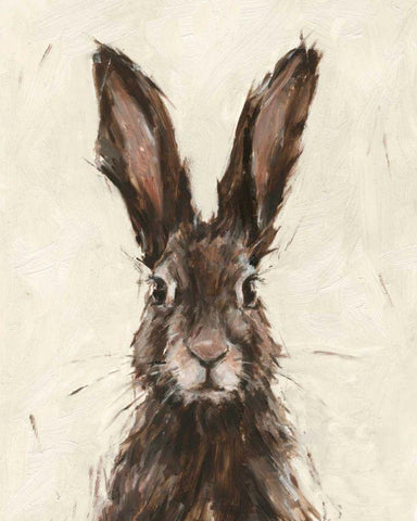 European Hare I White Modern Wood Framed Art Print with Double Matting by Harper, Ethan