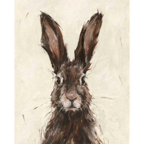 European Hare I Black Modern Wood Framed Art Print with Double Matting by Harper, Ethan