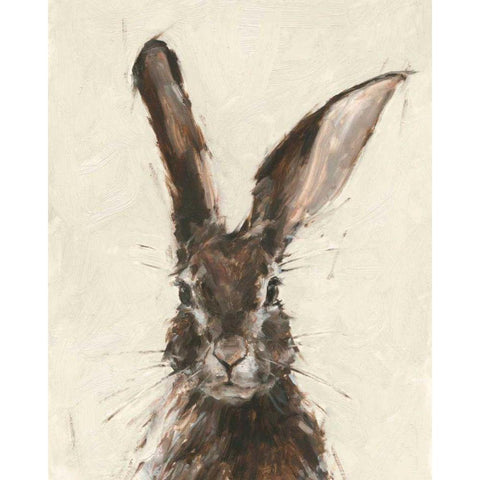 European Hare II Black Modern Wood Framed Art Print with Double Matting by Harper, Ethan