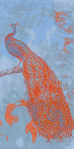 Pop Peacock II Black Ornate Wood Framed Art Print with Double Matting by Goldberger, Jennifer