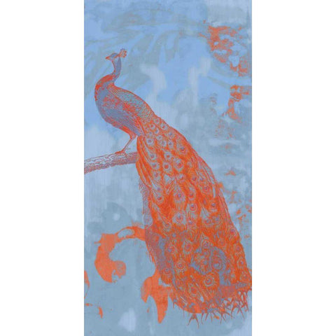 Pop Peacock II Black Modern Wood Framed Art Print with Double Matting by Goldberger, Jennifer