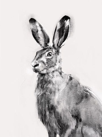 Wild Hare I White Modern Wood Framed Art Print with Double Matting by Caroline, Emma