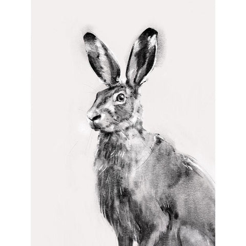 Wild Hare I Black Modern Wood Framed Art Print with Double Matting by Caroline, Emma