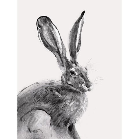 Wild Hare II Gold Ornate Wood Framed Art Print with Double Matting by Caroline, Emma