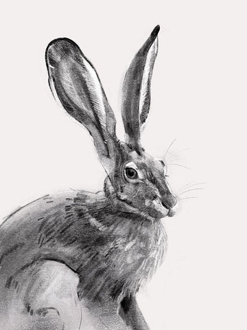 Wild Hare II Black Ornate Wood Framed Art Print with Double Matting by Caroline, Emma