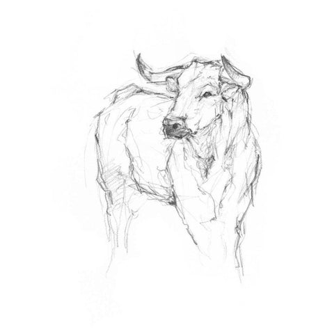 Bull Study I Gold Ornate Wood Framed Art Print with Double Matting by Harper, Ethan